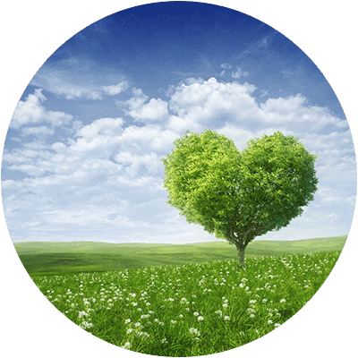 Un-Creating Difficult Relationship Dynamics